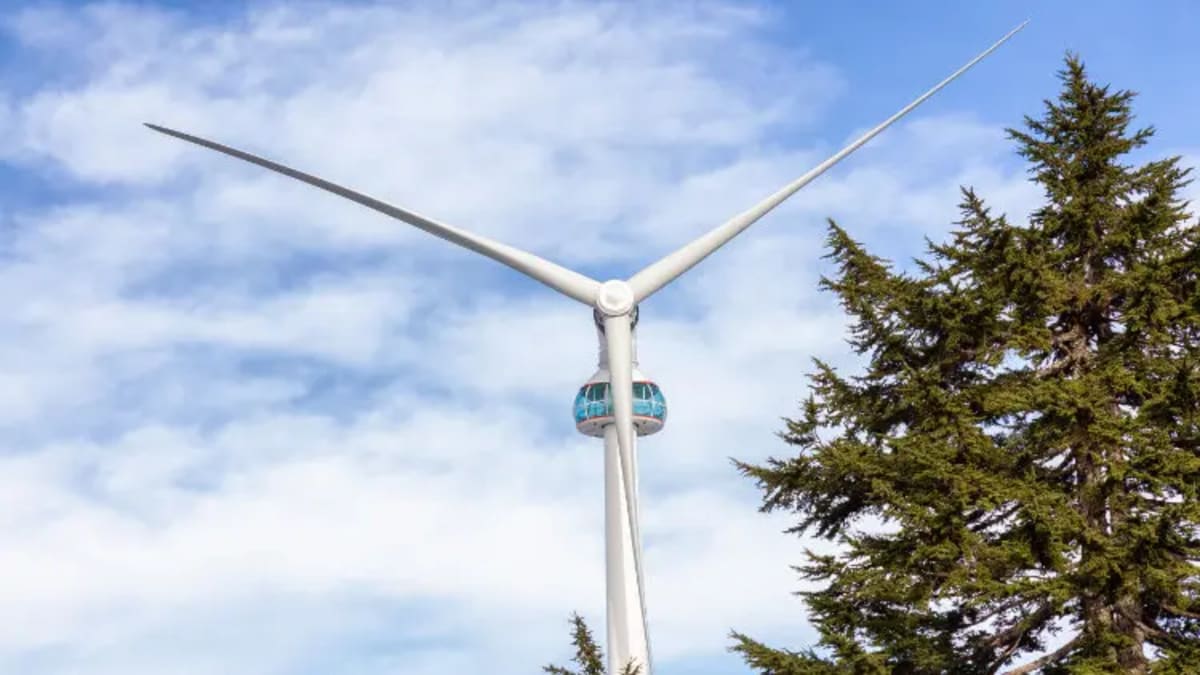 3 Giants Invest Billions in Clean Energy Across North America