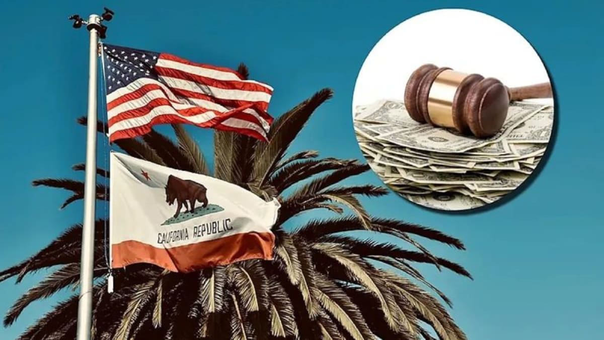 Tracked Sneakers Reveal How Charity Donations Really Work - Image 3