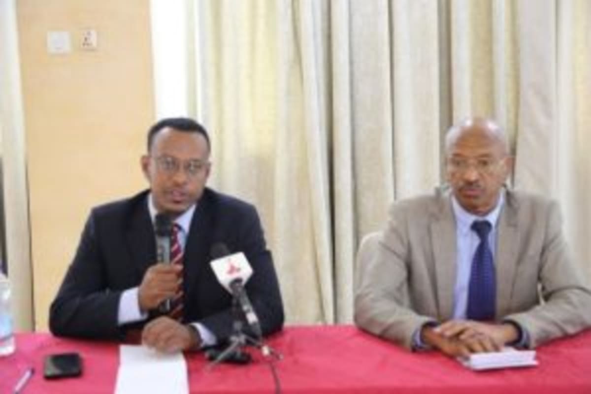 Ethiopia Plants 824-Hectare Mango Farm for Export Growth - Image 3