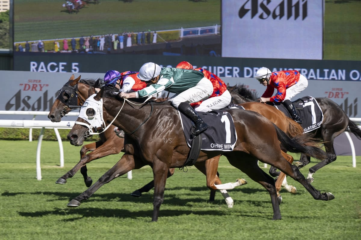 Ohope Wins racing horse crossing finish line at Randwick racecourse in Sydney Australia