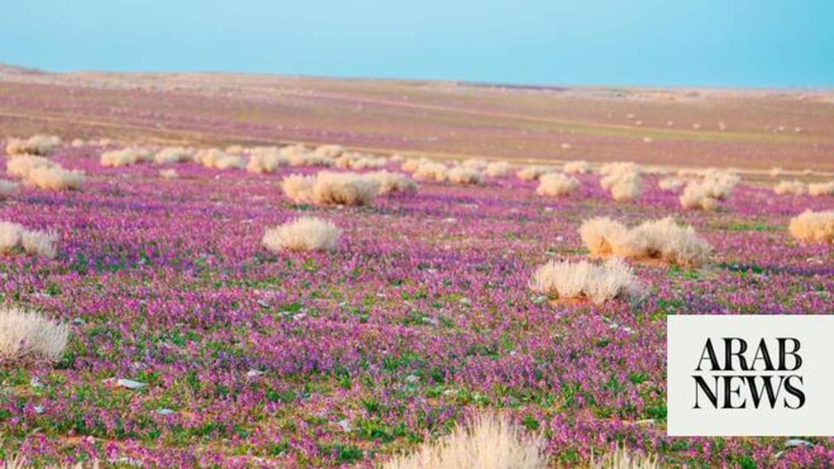 Saudi Arabia Commits 25 Years to 3 New National Parks