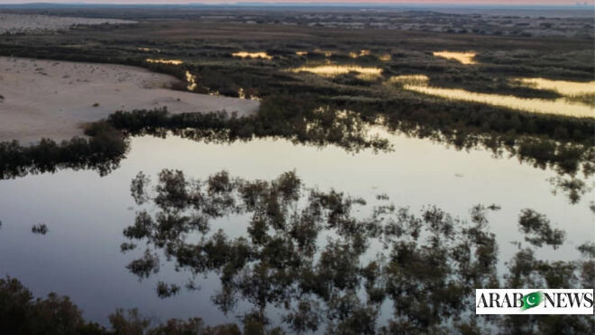 Saudi Arabia Opens 142 Ecotourism Parks for Investment