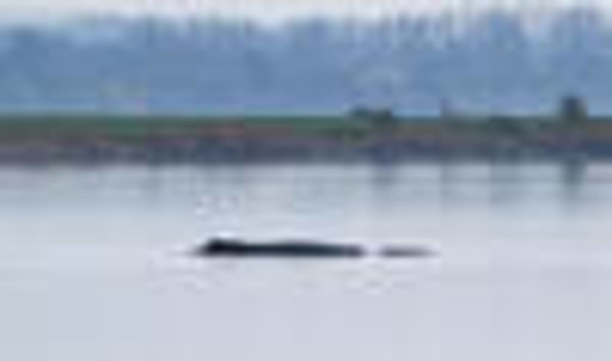 Saudi Arabia Invests in 3 National Parks for Eco-Tourism - Image 5