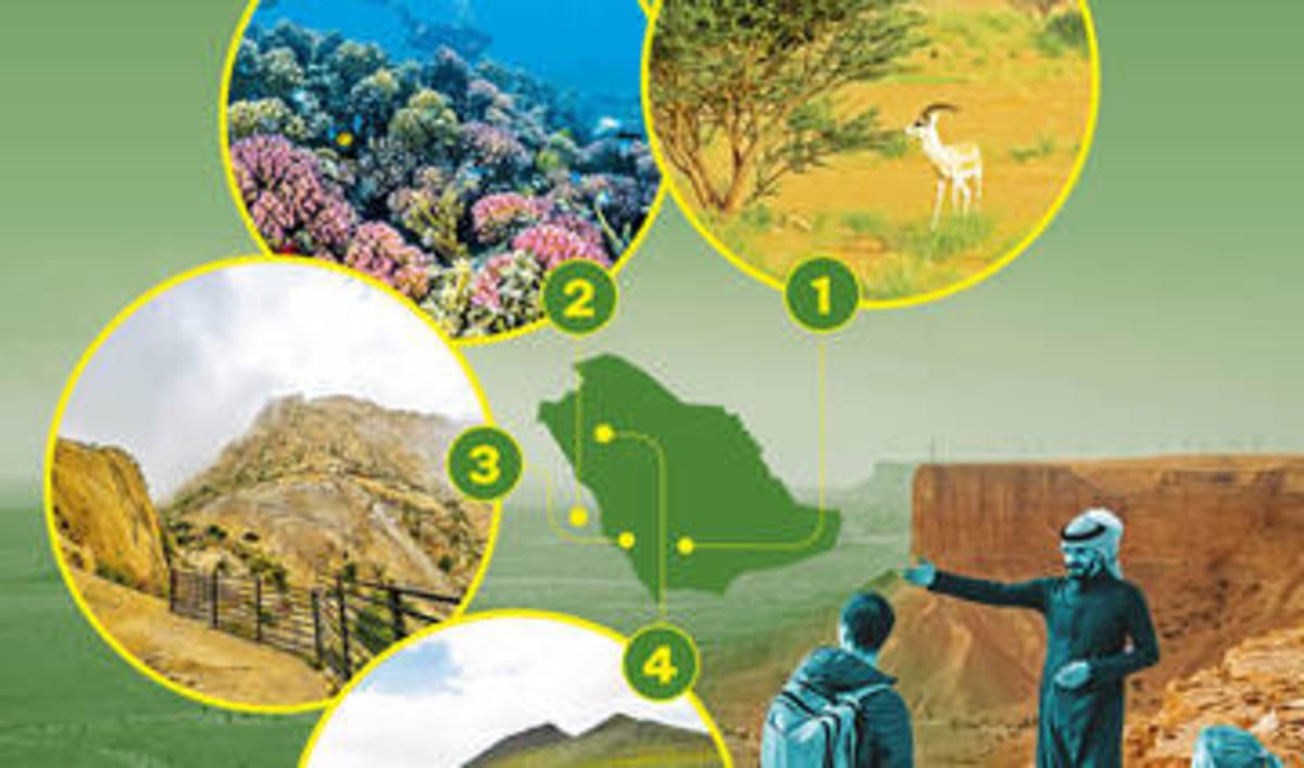 Saudi Arabia Launches Wildlife Safaris and Bird Sanctuaries - Image 5