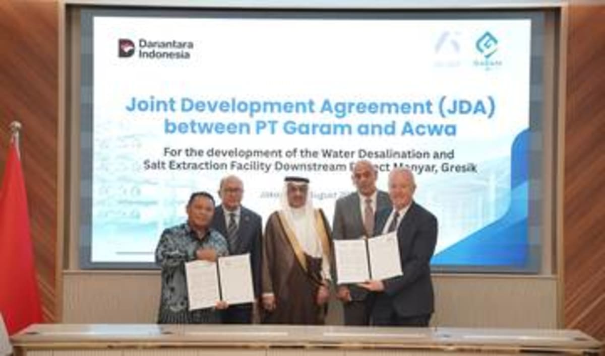 Saudi Arabia Launches $1.16B Battery Storage Revolution - Image 3