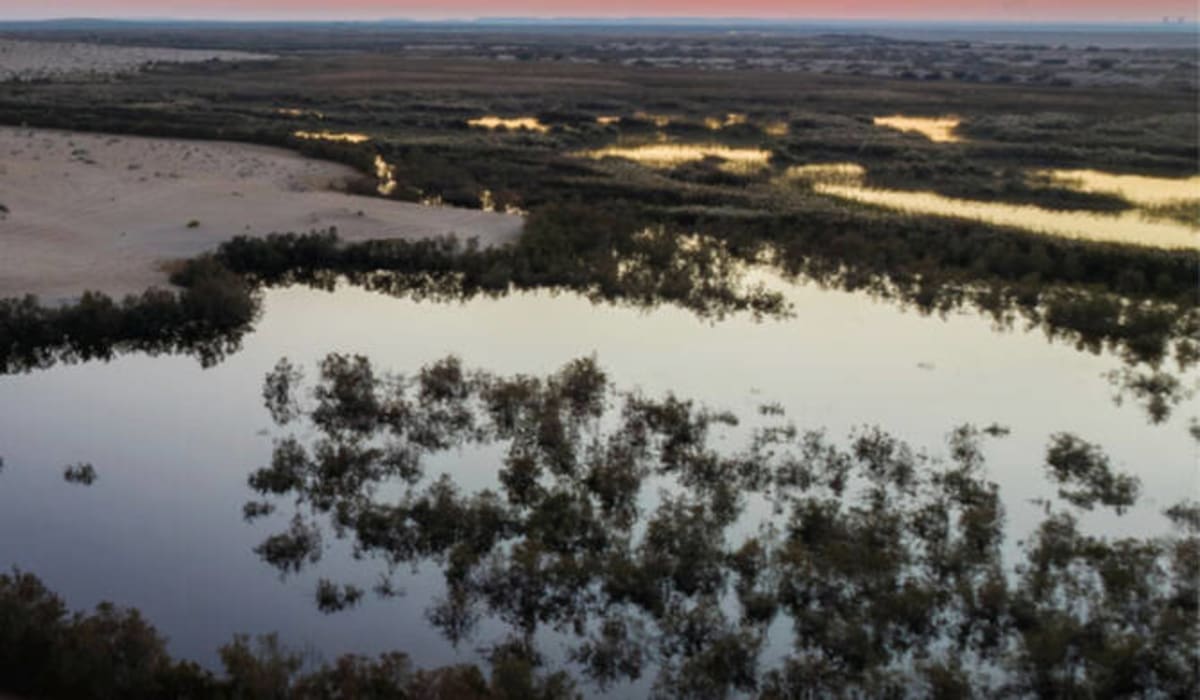 Saudi Arabia Opens 142 Ecotourism Parks for Investment - Image 2