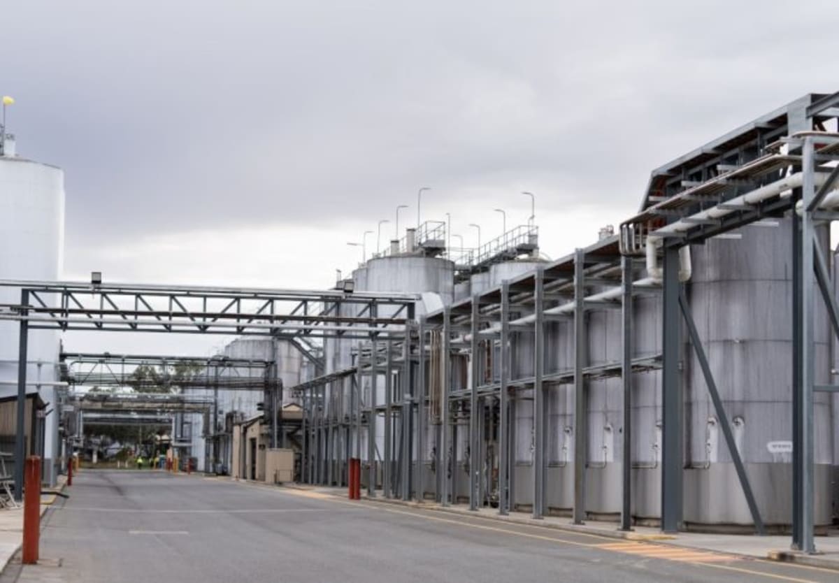 Australian Food Makers Cut Emissions and Save Millions - Image 2