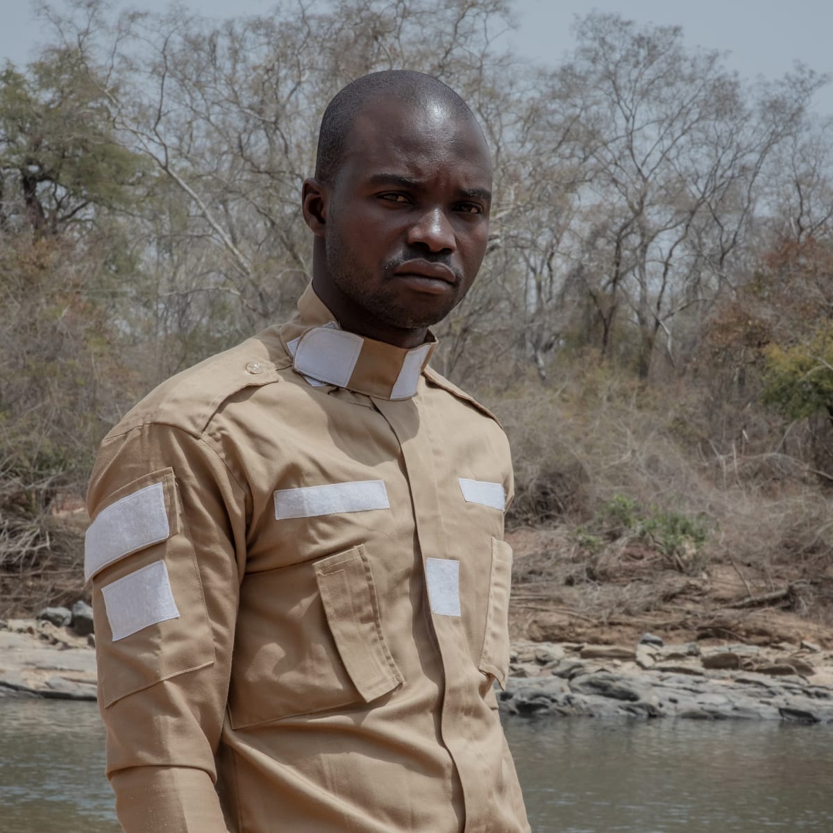 Critically Endangered Giraffes Bounce Back in Cameroon - Image 4