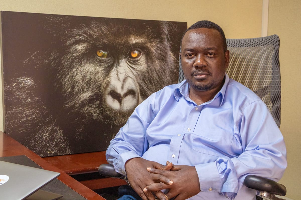 Rwanda's Gorillas Triple to 1,000 Since 1970s - Image 2