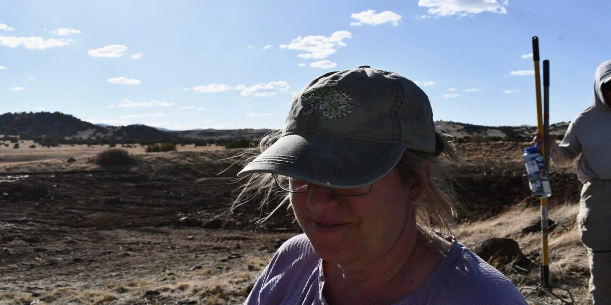 Volunteers Build Wetlands for Threatened Arizona Frogs - Image 2