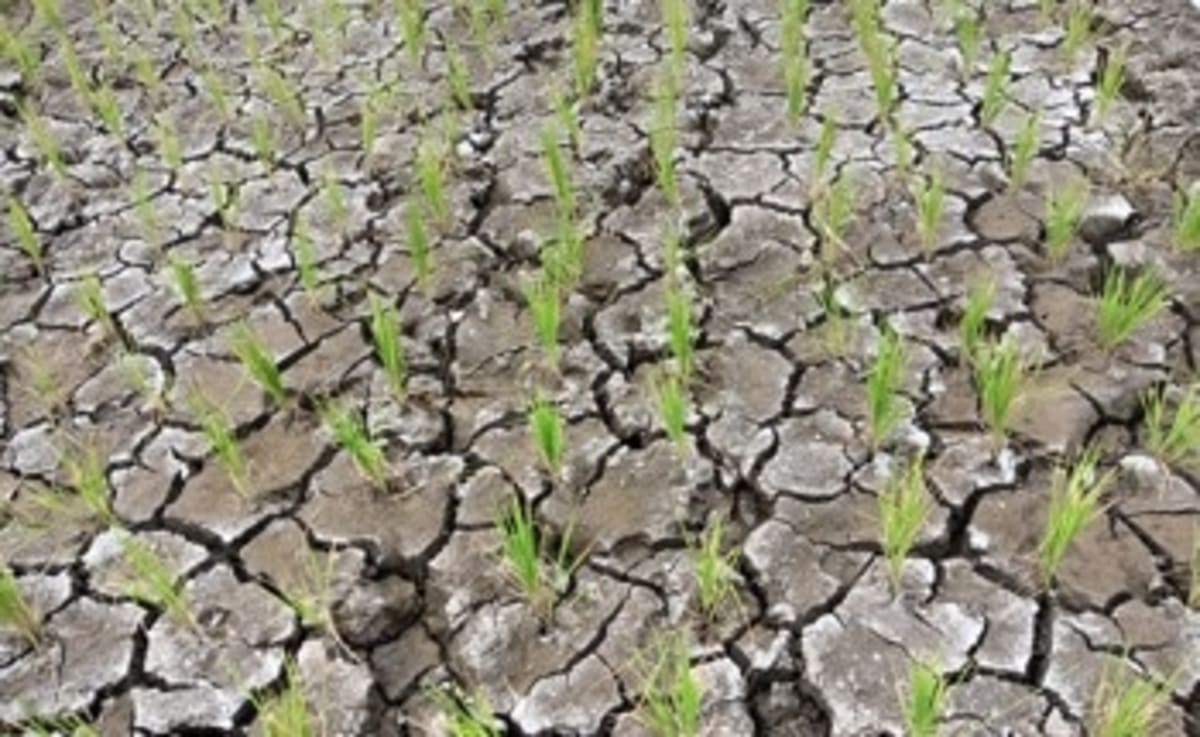 Project Drawdown Maps Science-Backed Path to Climate Win - Image 5