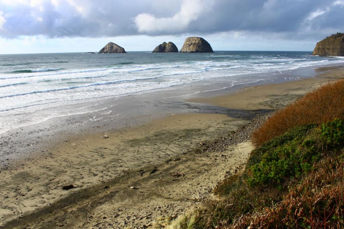 Oregon Coast Cleanup Invites Volunteers This September