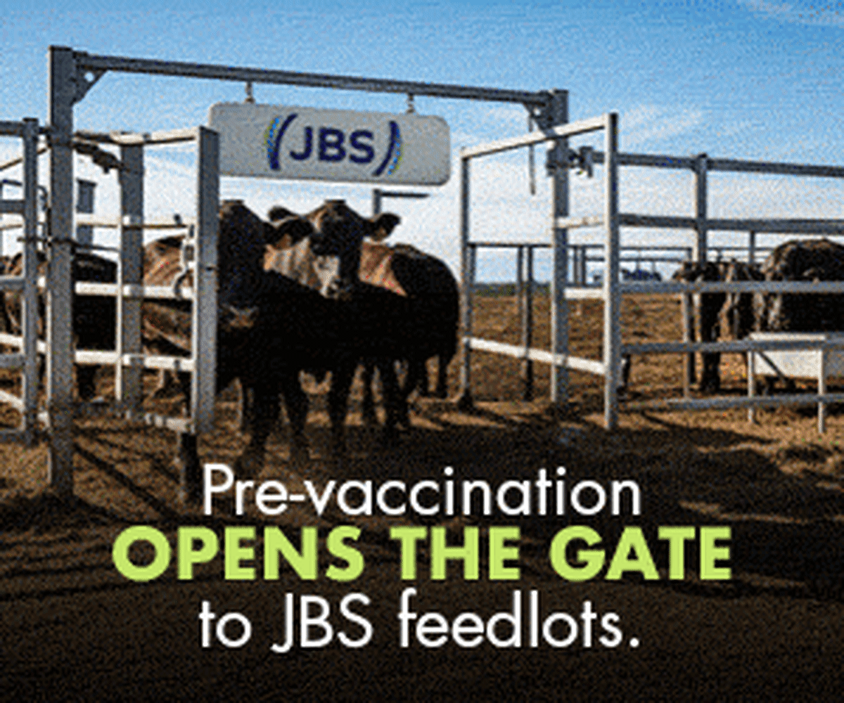 Brazil Cattle Trial Cuts Methane 50% While Boosting Gains - Image 3