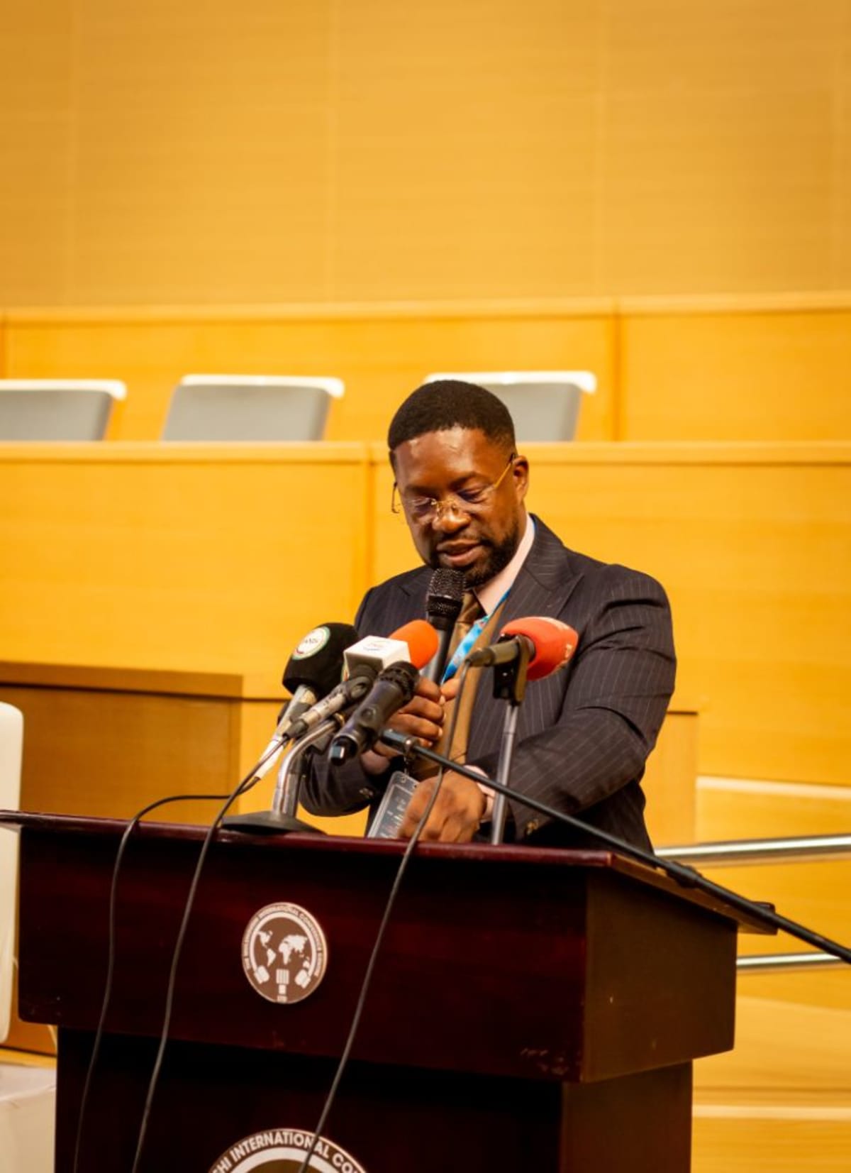 Africa's Creative Economy Summit Unites 1000s in Zambia - Image 4