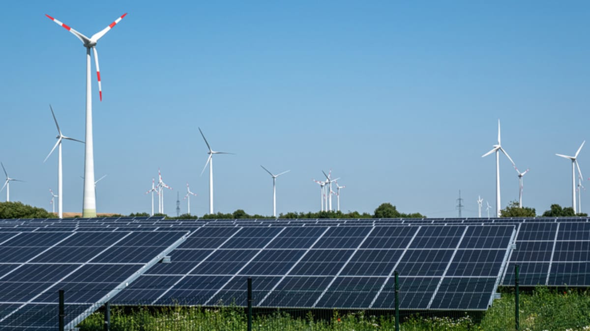 Painting Wind Turbines Black Cuts Bird Deaths by 70% - Image 3