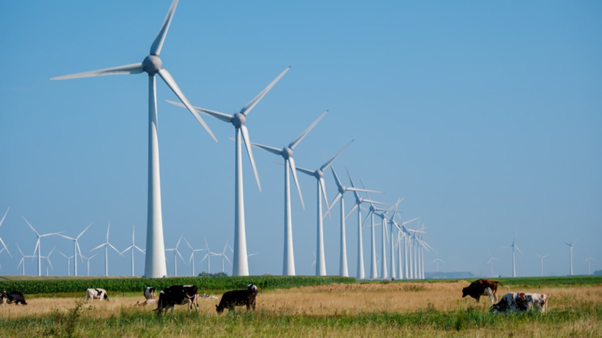 Old Wind Turbine Blades Become Bridges in Ireland, US - Image 2