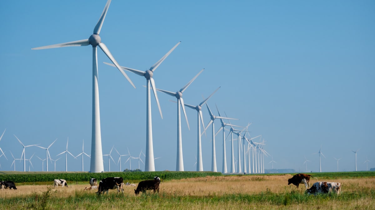 Old Wind Turbine Blades Become Bridges in Ireland, US