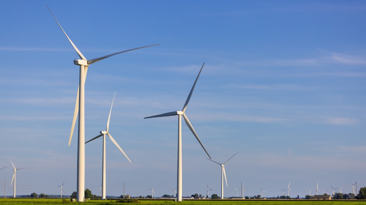Germany Tests Wooden Wind Turbine Blades to Cut Waste