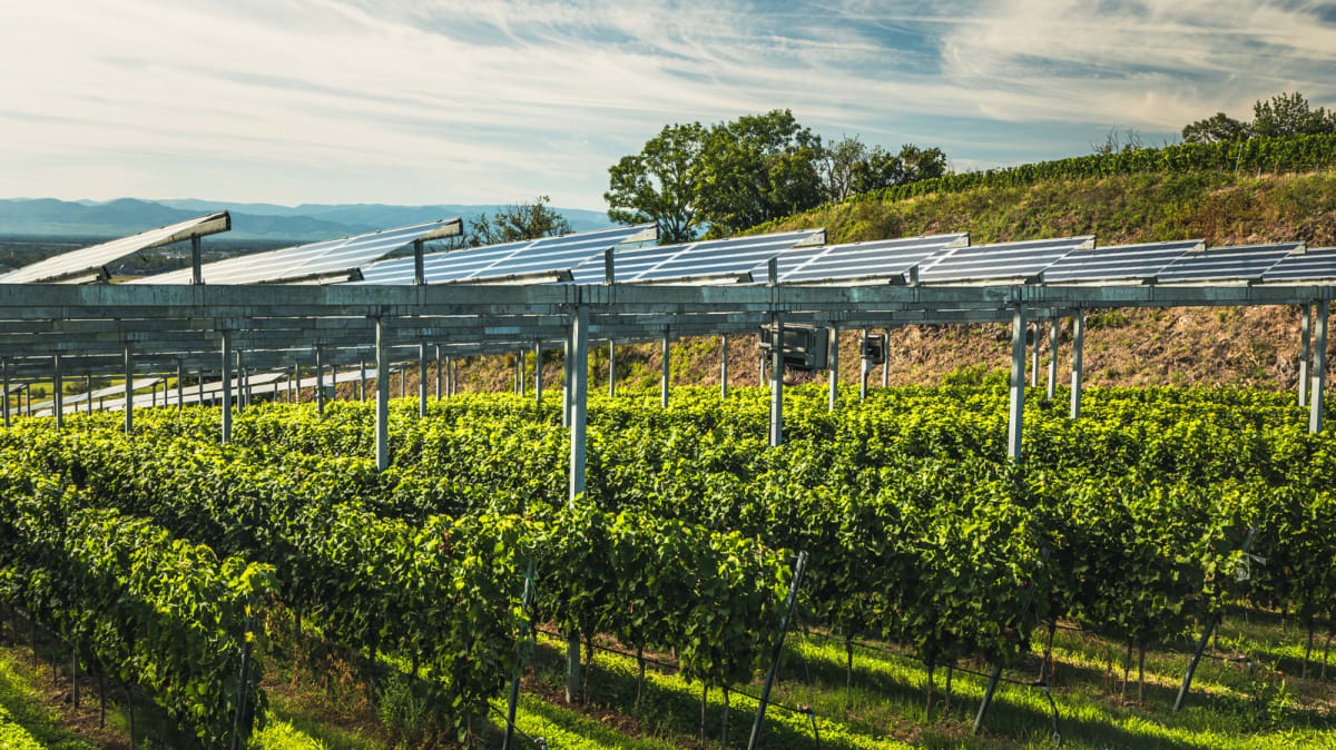 Arizona Solar Panels Save Farmworker Lives With Shade