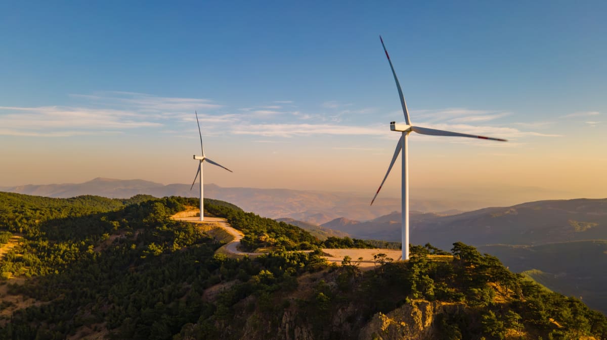 Wind Turbines Kill 70% Fewer Birds With Simple Paint Fix