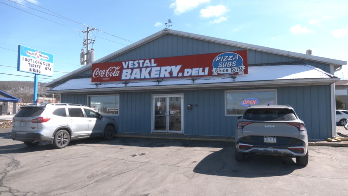 Binghamton Firefighters Rescue Dog Stuck on Roof - Image 5