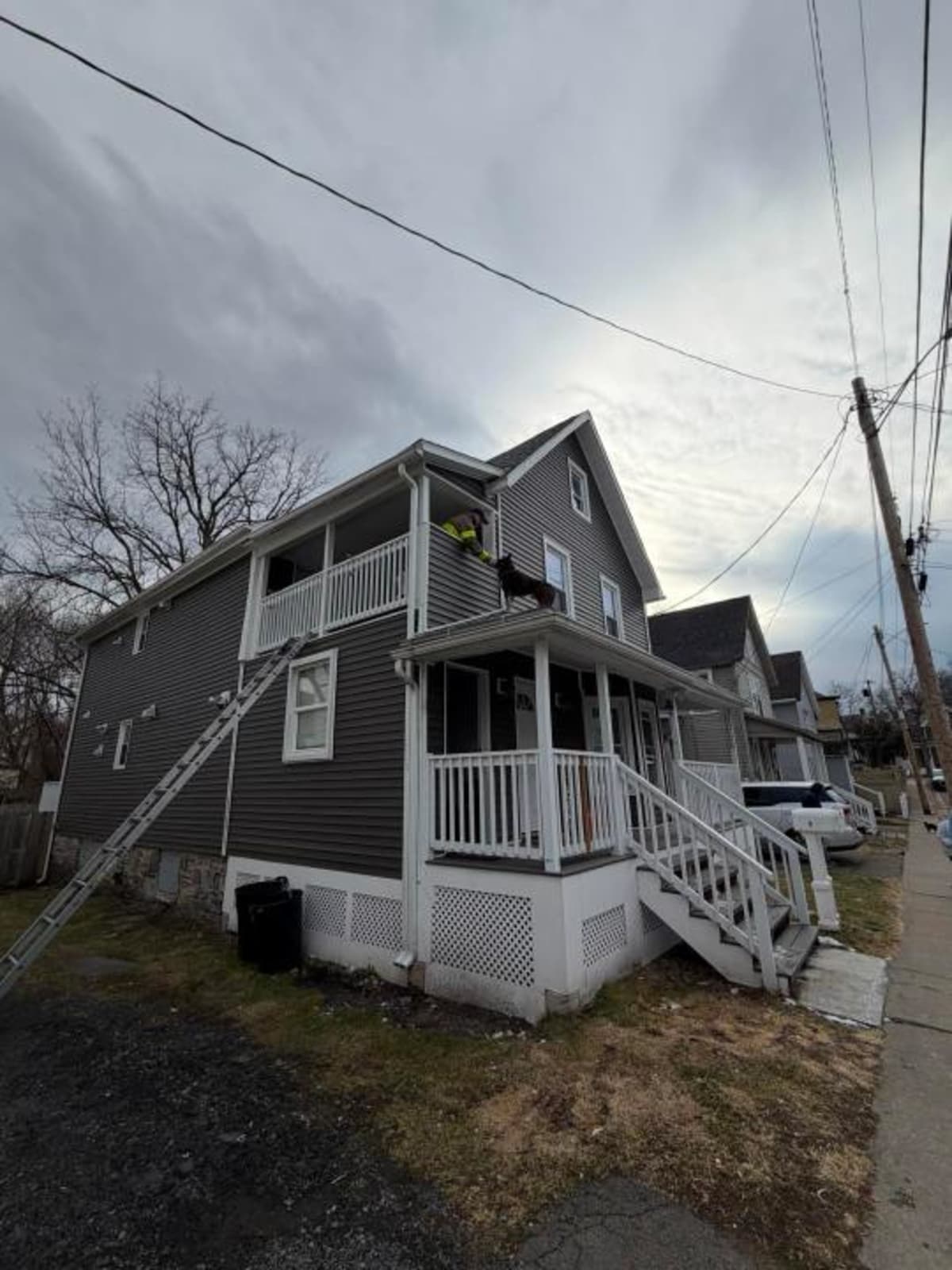 Binghamton Firefighters Rescue Dog Stuck on Roof - Image 3