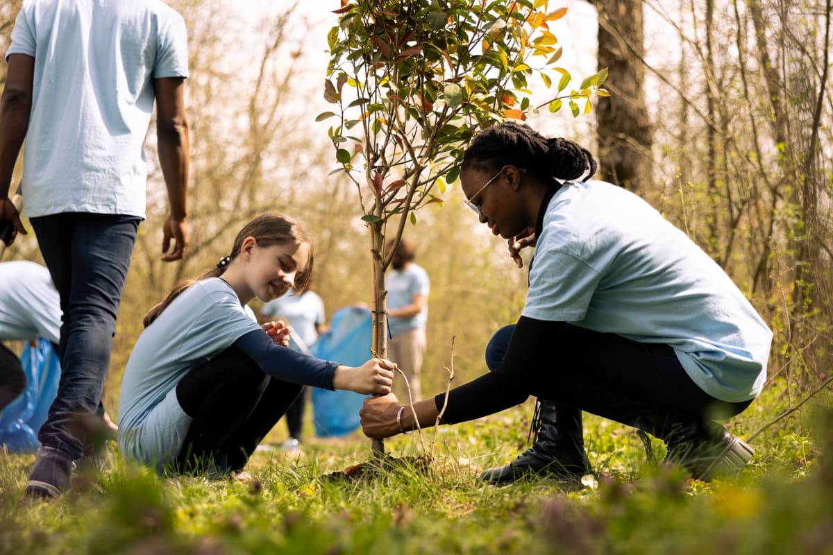 Birmingham Teens Get $5K Grants to Fight Climate Change - Image 2