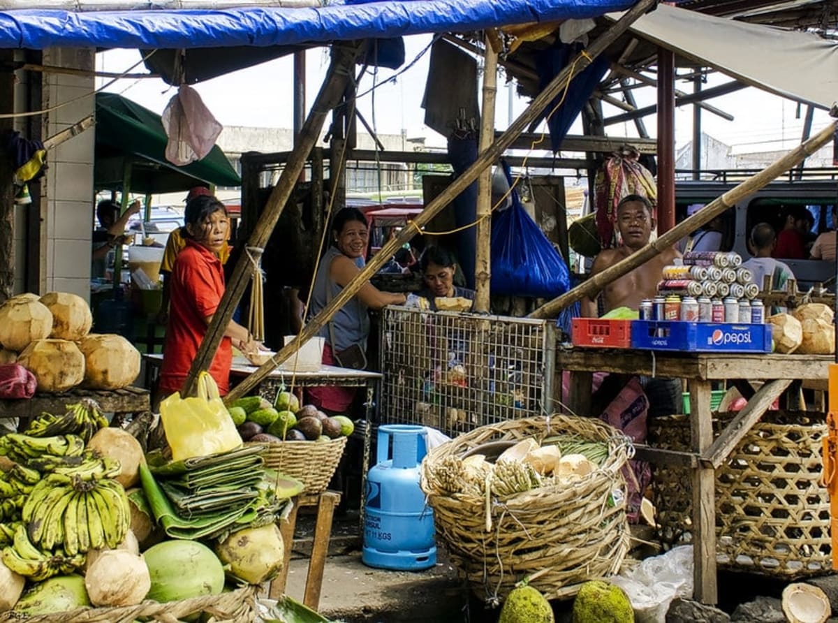 Filipino Stars Angel Locsin and Piolo Pascual Fight Poverty