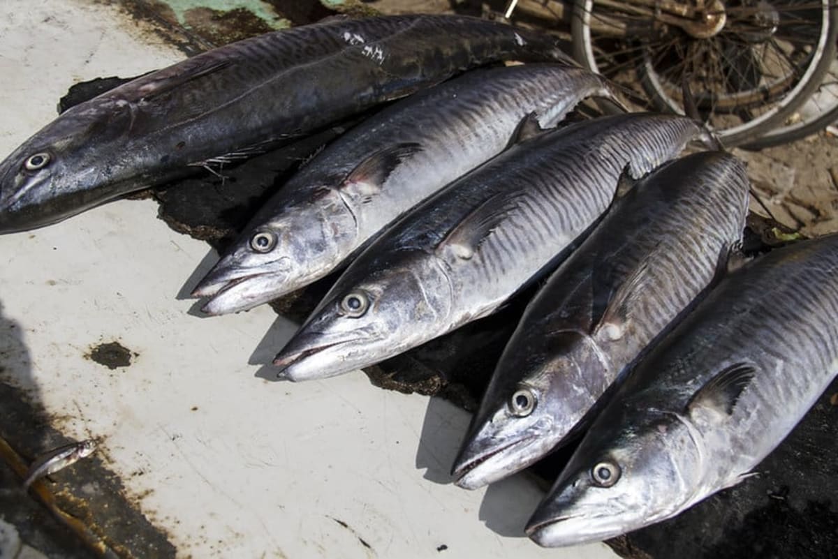 Tanzanian scientist Diana Orembe standing with fish farmers near production facility in Tanzania