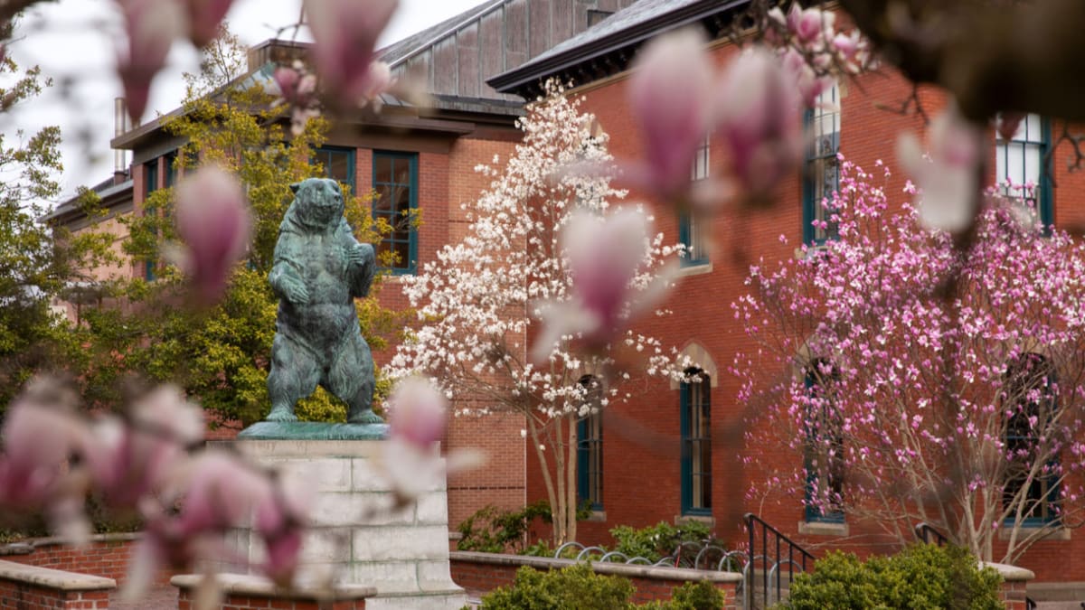 Brown University students celebrating academic achievement and prestigious fellowship awards on campus