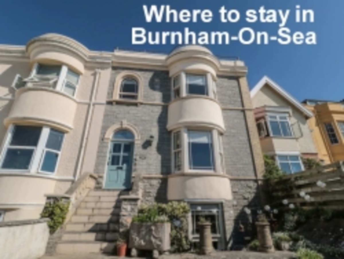 Orphaned Fox Cub Nemo Thrives After Rescue Near Burnham - Image 5