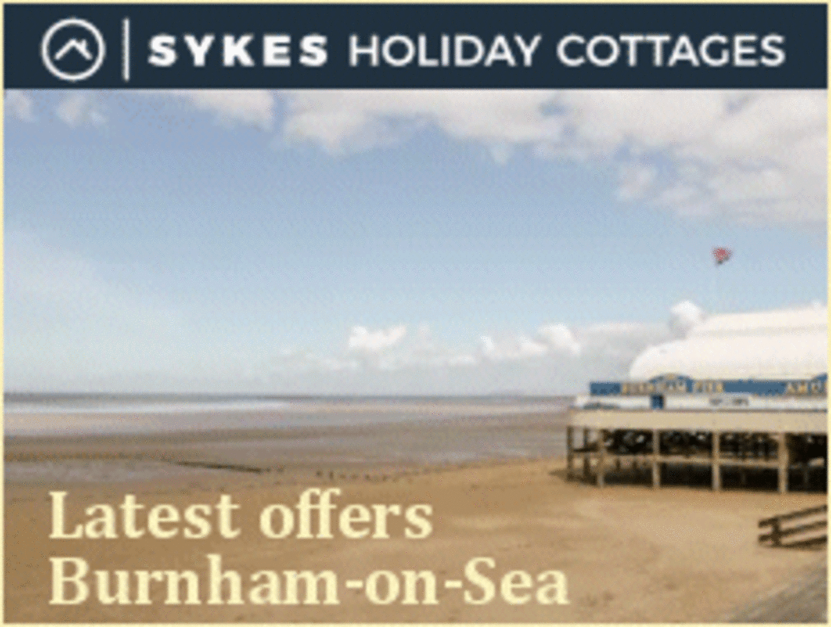 Orphaned Fox Cub Nemo Thrives After Rescue Near Burnham - Image 3