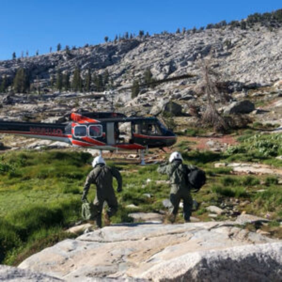 Cancer Survival Rates Jump to 70% as 53M Live Longer - Image 5