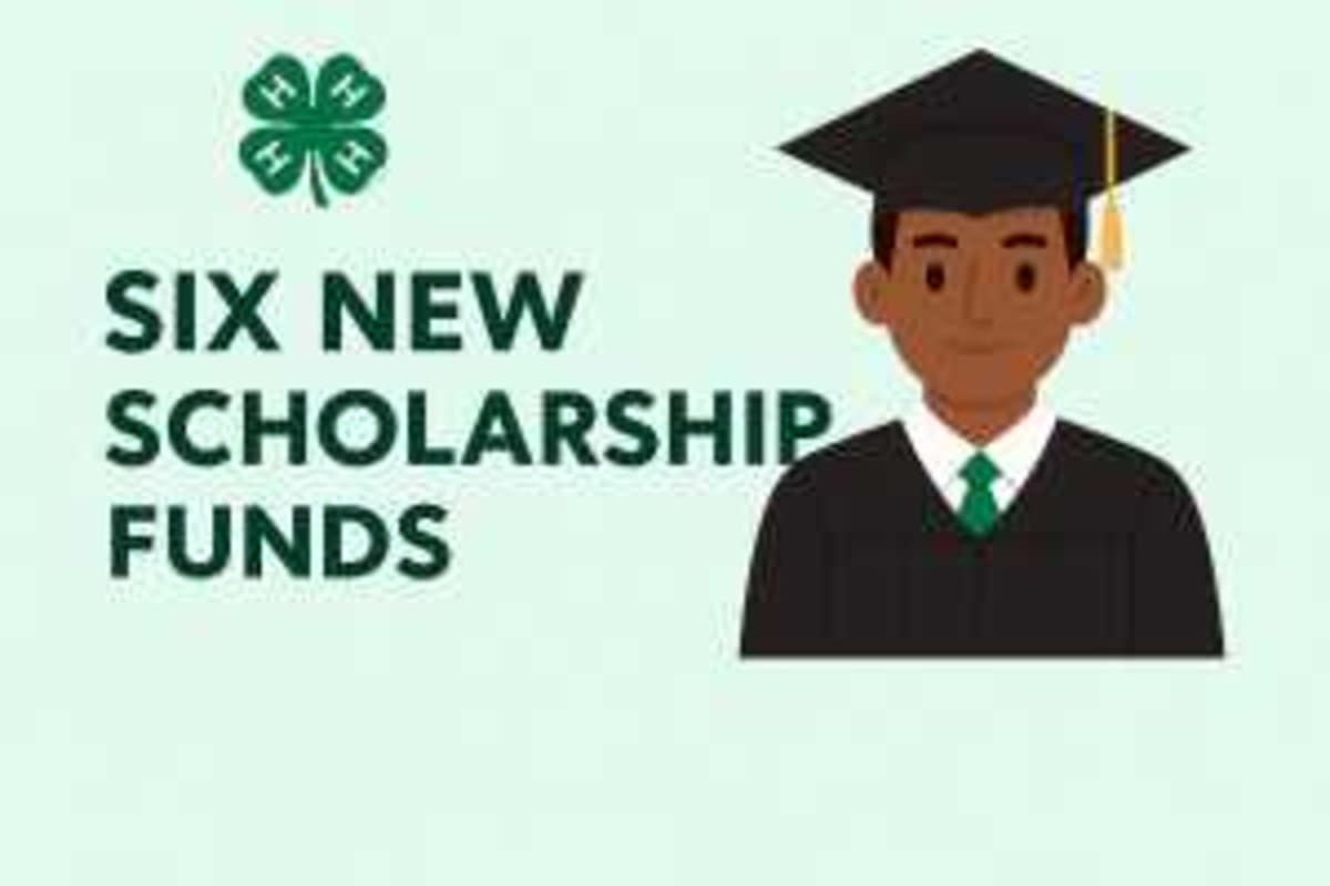 Six New Scholarships Open Doors for Michigan 4-H Youth