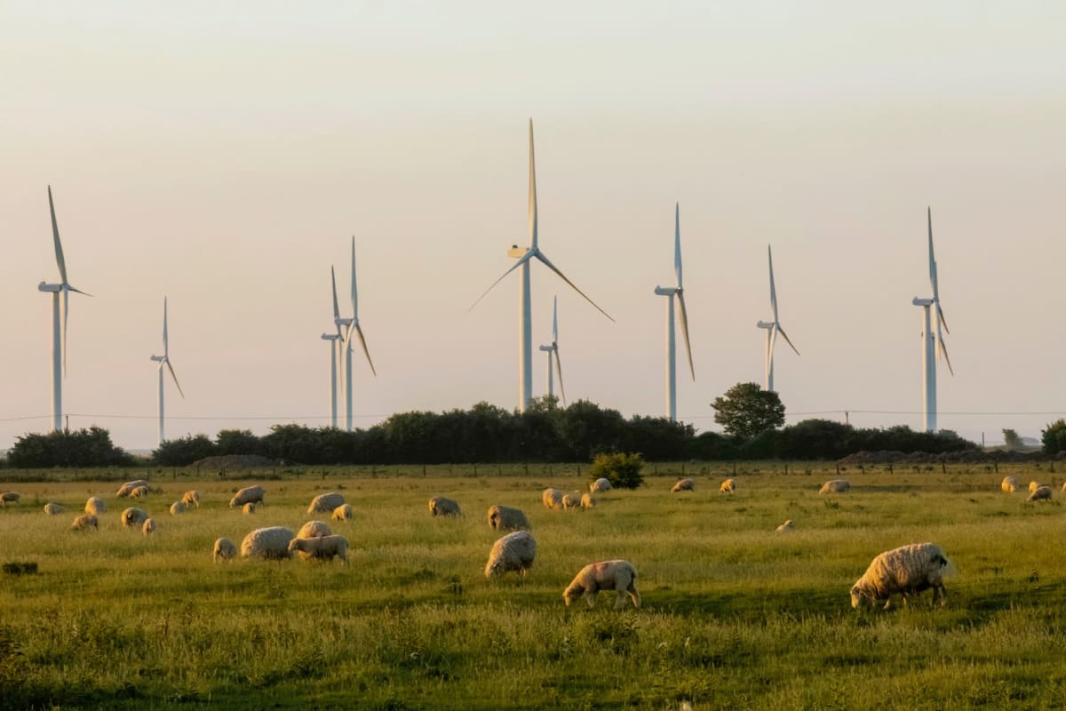 England Maps Path to Meet Climate Goals on Just 1% of Land