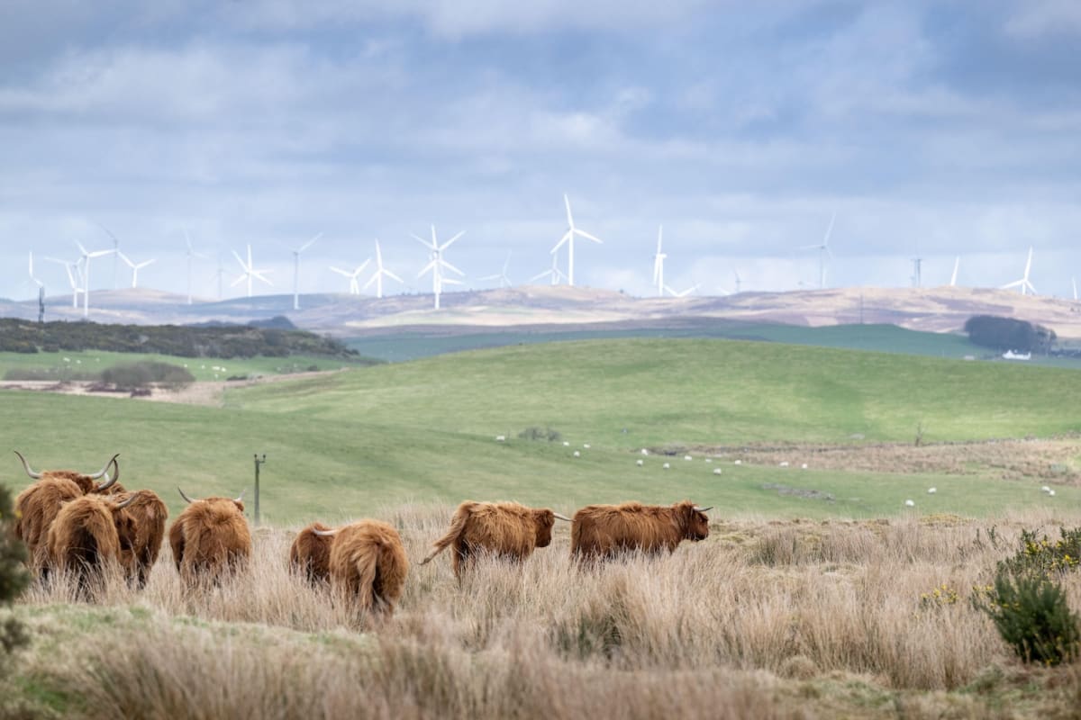 UK's Climate Plan to Deliver £865bn in Economic Benefits