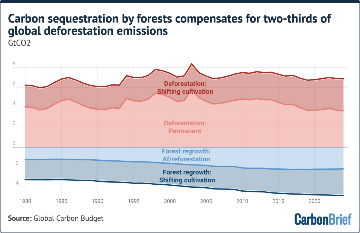 Global Land-Use Emissions Drop 32% Since 2000s - Image 4