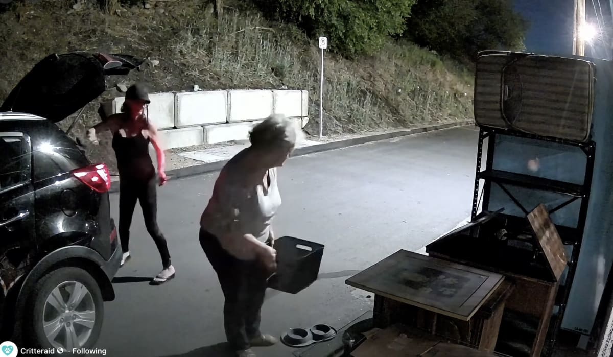 Animal Rescue Offers Help to Those Stealing Donations