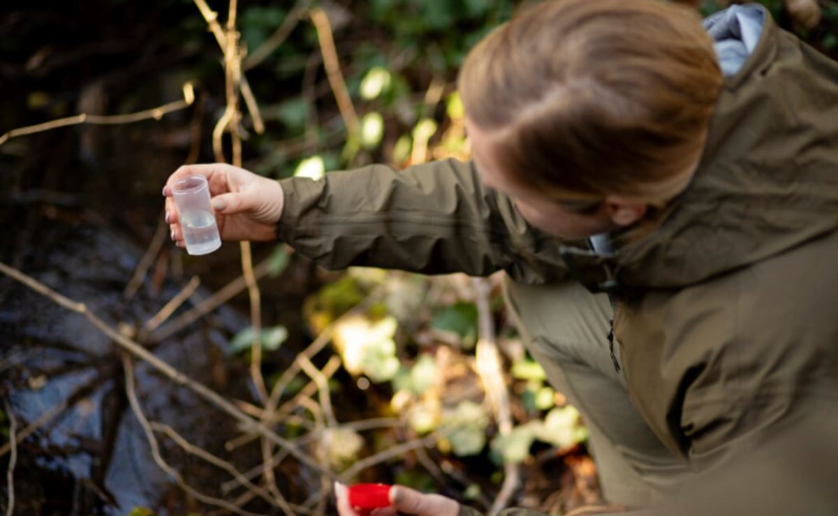 Scientists Find 2% of Trees Hold Rainforest Together