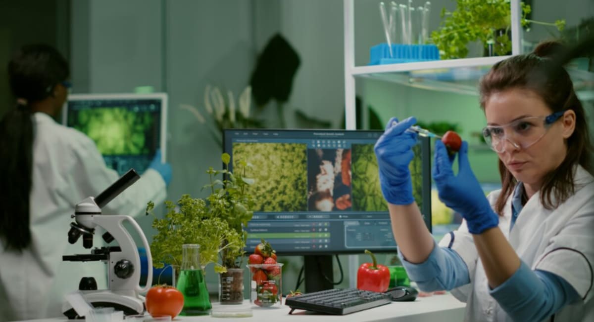 Scientists Find Way to Make Crops Grow With Less Fertilizer