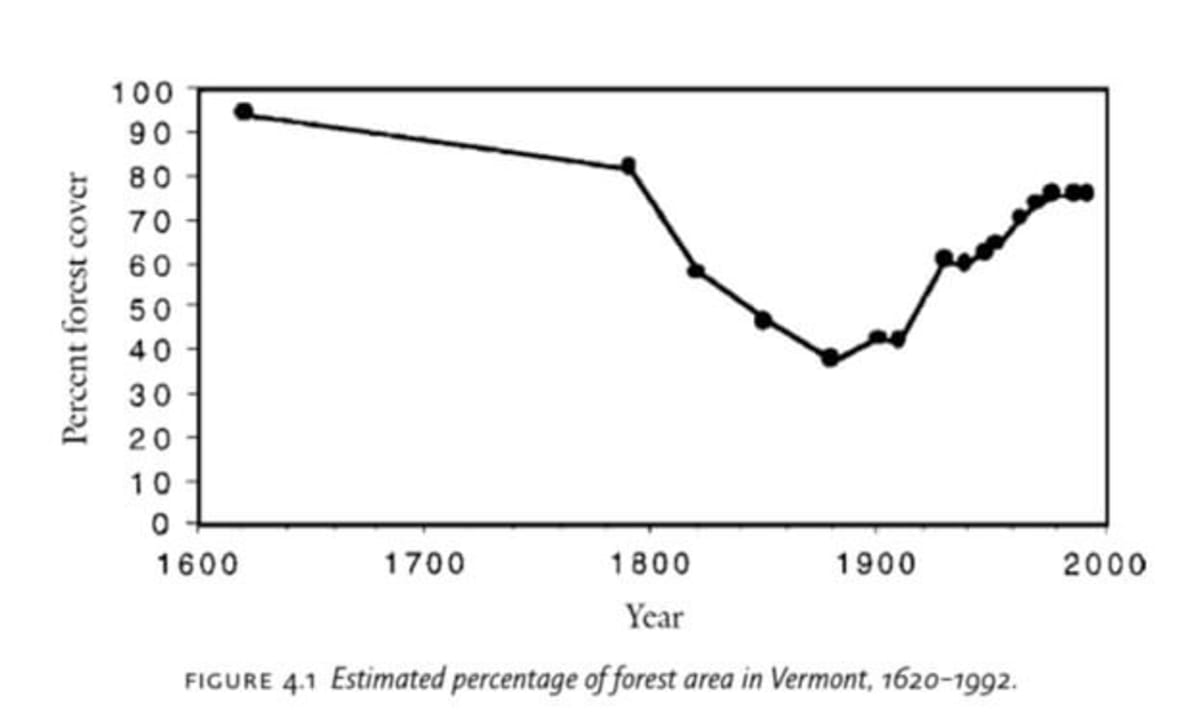 Vermont Rebuilds Wild Turkey Population From Just 17 Birds - Image 4