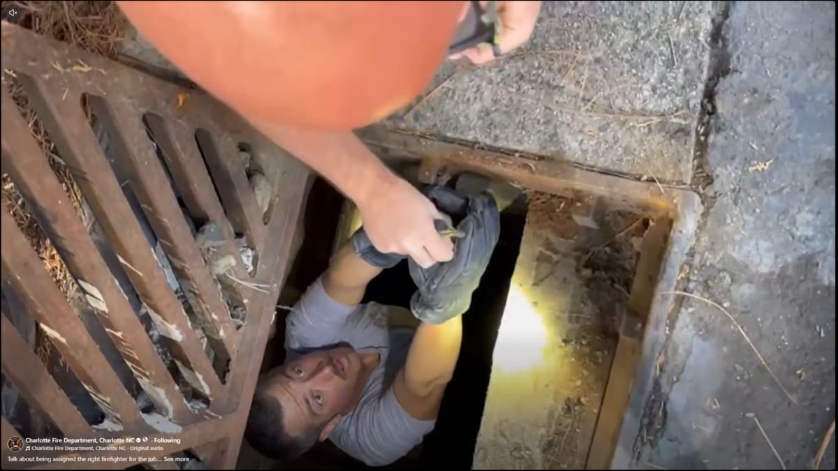 Charlotte firefighter Tristan Duckwall handing rescued ducklings from storm drain to fellow firefighter
