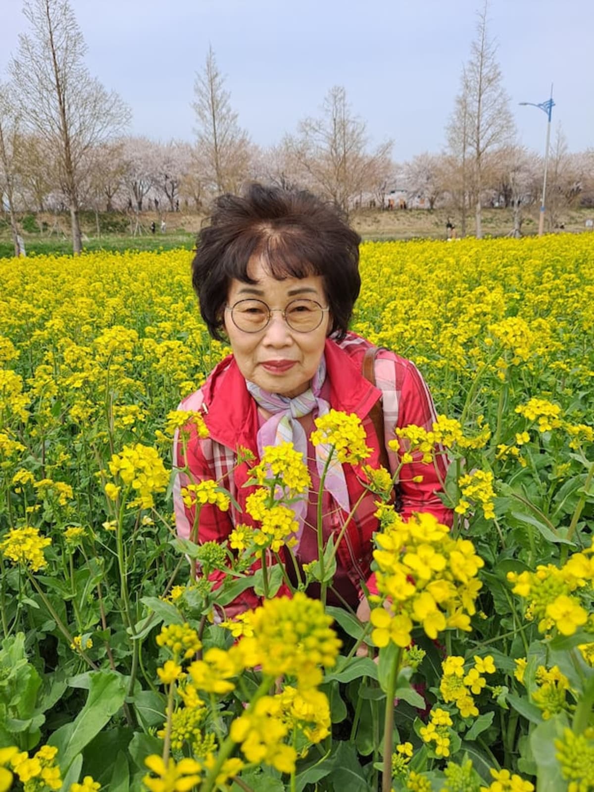 71-Year-Old Volunteer Saves Three Lives Through Donation - Image 2