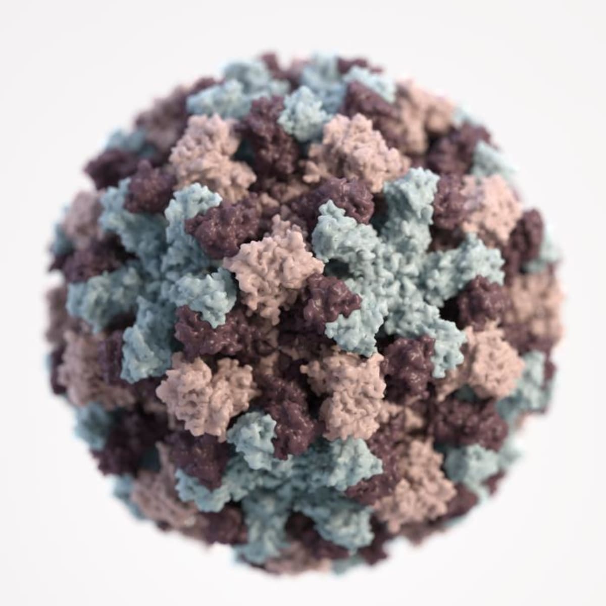 Survey: More US Parents Now Support Childhood Vaccines - Image 2