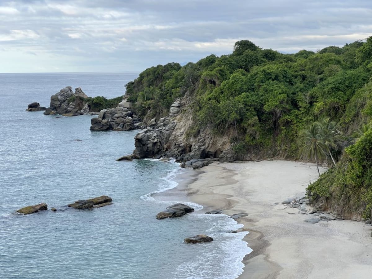 Aerial view of lush green Amazon rainforest canopy protected under Colombia's new fossil fuel ban