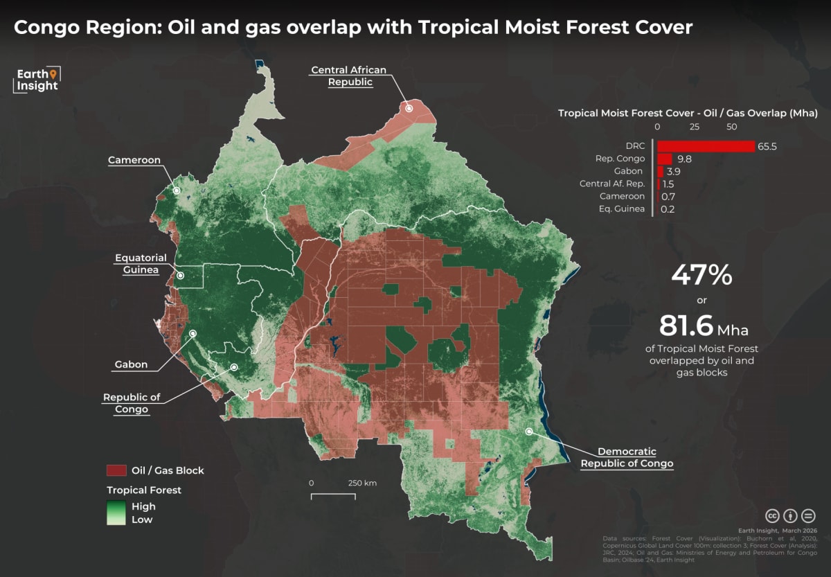 Colombia Bans Fossil Fuels Across Entire Amazon Region - Image 4