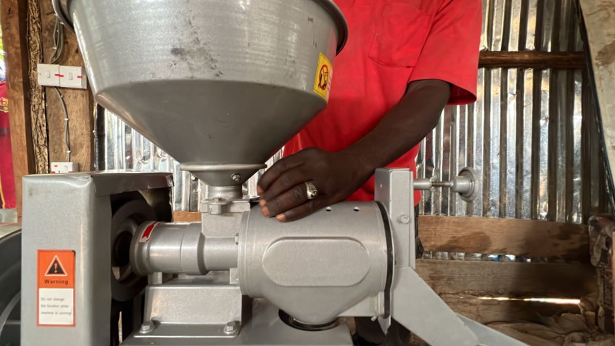 Africa's Solar Revolution Powers Up Food Production - Image 2