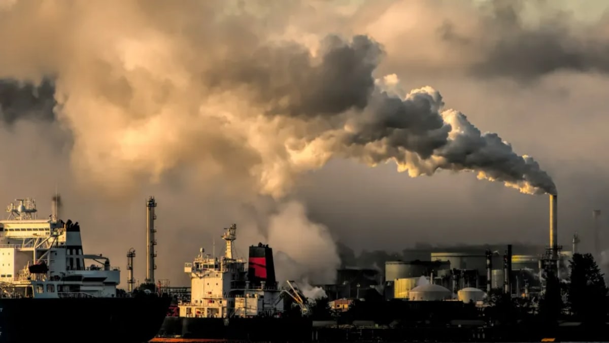 Asia Powers 46% of World's Renewable Energy in 2024 - Image 2