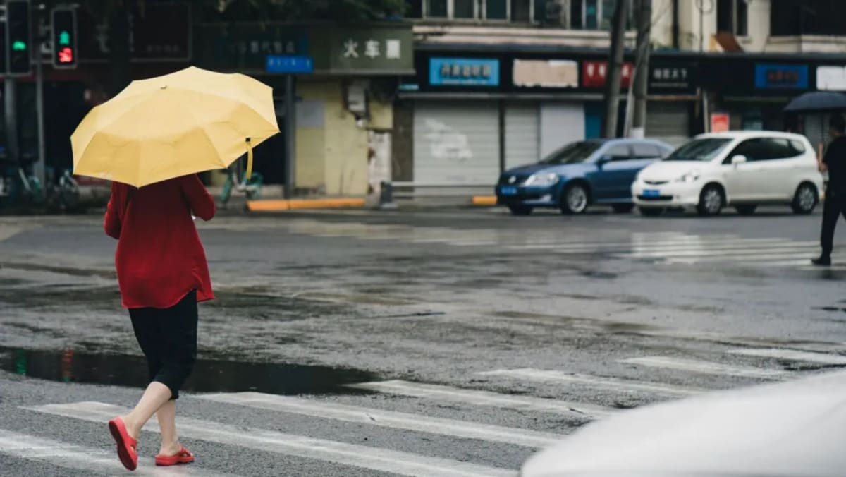 Malaysia's Online Shopping Boom Hits $37.8B in 2026 - Image 5