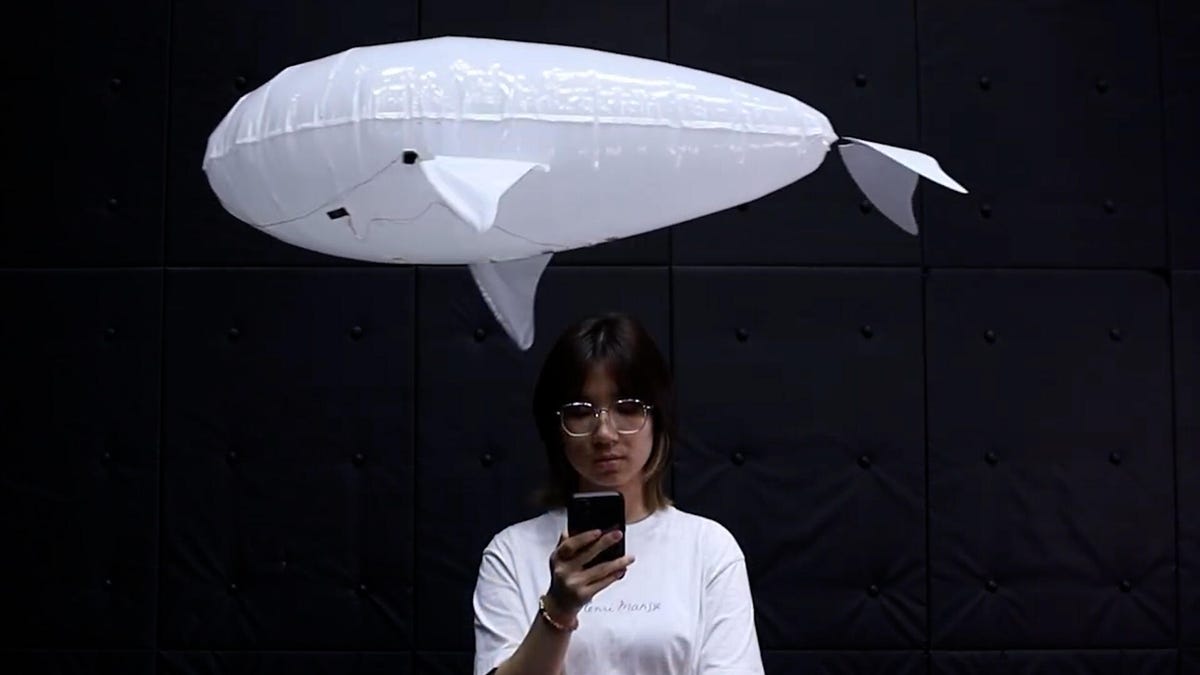 Japan's Floating Robot Whale Makes Safe AI Companions Real